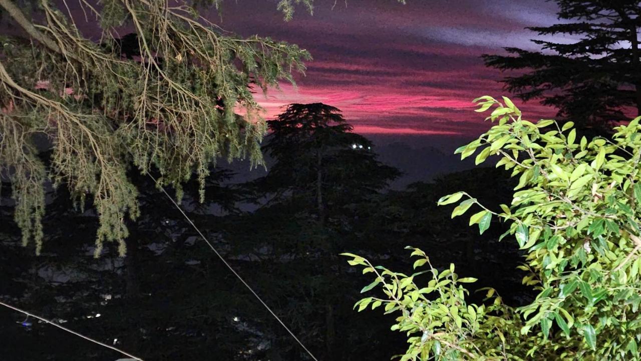 Glen View Heritage Homestay Shimla Exterior photo