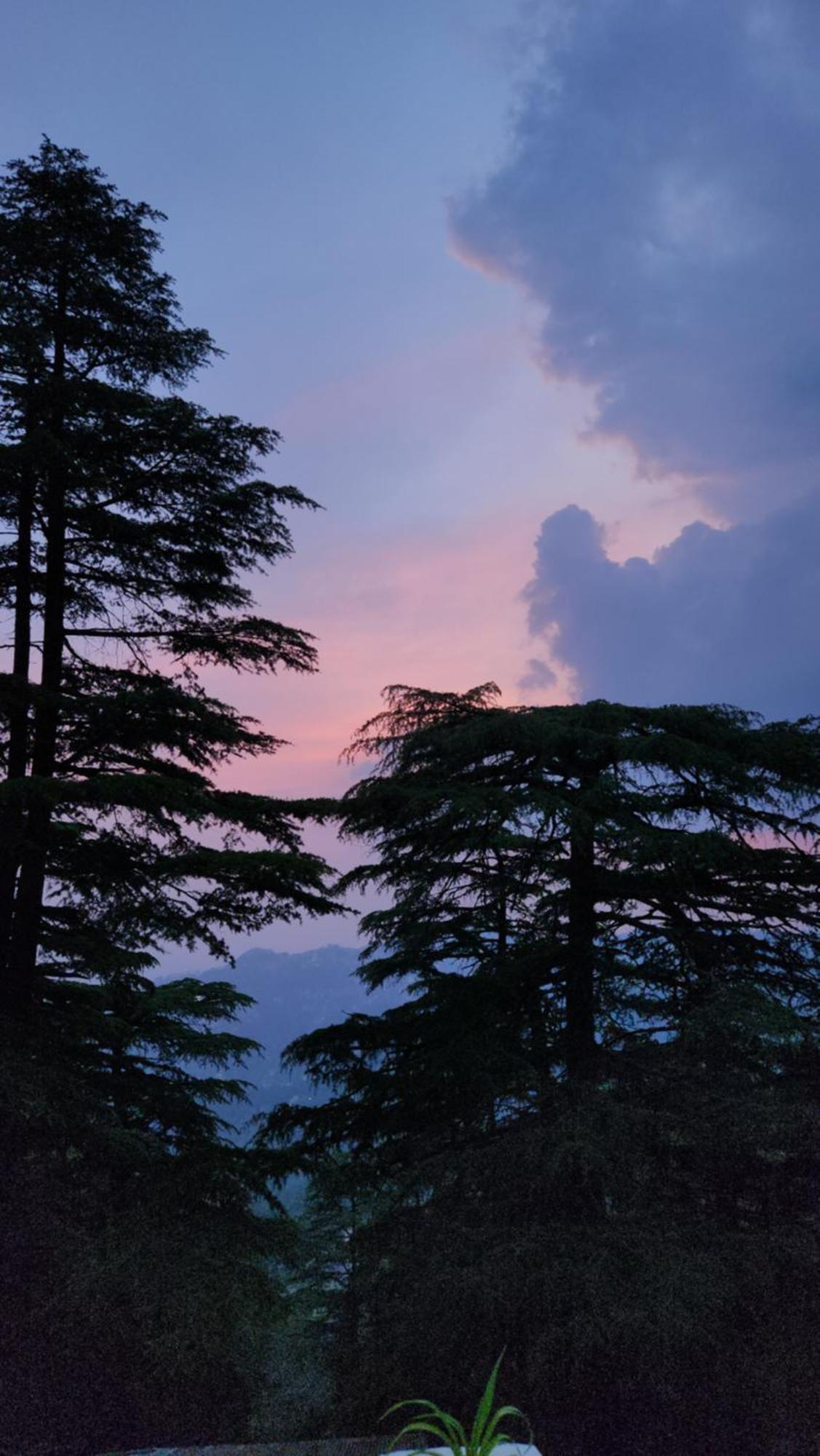 Glen View Heritage Homestay Shimla Exterior photo